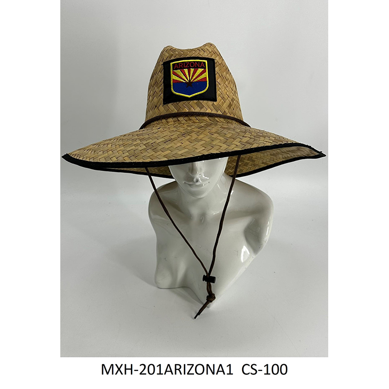 MXH-201ARIZONA1  CS-100